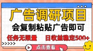 广告调研项目,会复制粘贴广告即可,任务无限量,日收益稳定5张【揭秘】|淘骐网赚资源库