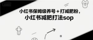 小红书保姆级养号+打减肥粉，小红书减肥打法sop|淘骐网赚资源库