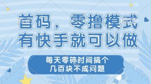 首码，零撸模式，有快手就可以做，每天零碎时间搞个几张不成问题【揭秘】|淘骐网赚资源库
