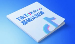 TikTok小店基础认知课,助力学员从 0 到 1 掌握 TikTok 电商运营全链路认知|淘骐网赚资源库