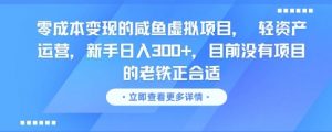零成本变现的咸鱼虚拟项目, 轻资产运营,新手日入3张+,目前没有项目的老铁正合适|淘骐网赚资源库