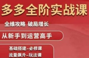 拼多多全阶实战课程,全维攻略,破局增长,从新手到运营高手|淘骐网赚资源库