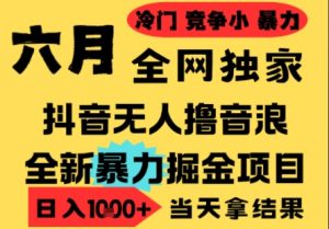 25年6月高爆抖音无人直播最新撸音浪掘金项目,小白可做,无脑日入1k+,门槛低可批量矩阵【揭秘】|淘骐网赚资源库