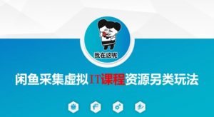 闲鱼采集虚拟IT课程资源另类玩法,干货满满|淘骐网赚资源库