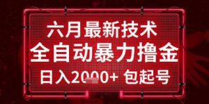 六月最新技术全自动暴力撸金，稳定日入2k+包起号，长期稳定【揭秘】|淘骐网赚资源库