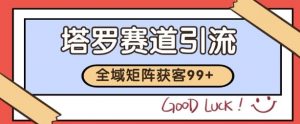 小红书某音塔罗赛道引流获客 自热矩阵日引200+【揭秘】|淘骐网赚资源库