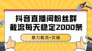 抖音直播间粉丝群暴力截流，一台电脑每天稳定2000条数据【揭秘】|淘骐网赚资源库