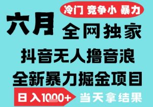 2025年6月高爆抖音无人直播最新撸音浪掘金项目,无脑日入1k+,低门槛小白可做,可矩阵放大【揭秘】|淘骐网赚资源库