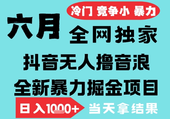 2025年6月高爆抖音无人直播最新撸音浪掘金项目,无脑日入1k+,低门槛小白可做,可矩阵放大【揭秘】|淘骐网赚资源库