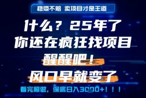 什么?25年你还在疯狂找项目做,醒醒吧,看完这些你全都懂了!【揭秘】|淘骐网赚资源库