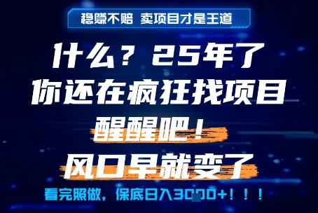 什么?25年你还在疯狂找项目做,醒醒吧,看完这些你全都懂了!【揭秘】|淘骐网赚资源库