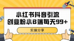 小红书抖音创业粉，小B端粉自热 日引99+的一个玩法【揭秘】|淘骐网赚资源库