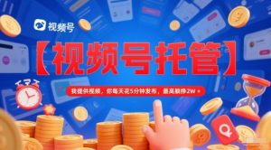 【视频号托管 】我提供视频,你每天花5分钟发布,最高躺挣2W+【揭秘】|淘骐网赚资源库