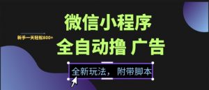 微信小程序全自动撸广告项目,彻底解决没流量的问题,新手一天8张+【揭秘】|淘骐网赚资源库