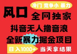 25年6月高爆抖音无人直播最新撸音浪掘金项目,解放双手小白可做,无脑日入1k+,门槛低【揭秘】|淘骐网赚资源库