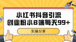 小红书抖音创业粉，小B端粉自热，日引99+的一个玩法【揭秘】|淘骐网赚资源库