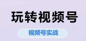 玩转视频号,视频号实战系列课|淘骐网赚资源库