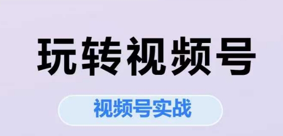 玩转视频号,视频号实战系列课|淘骐网赚资源库