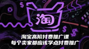 淘宝高阶付费推广课,每个卖家都应该学点付费推广|淘骐网赚资源库