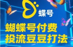 2025蝴蝶号付费投流豆豆打法,助新手快速掌握付费流量撬动自然流的核心玩法|淘骐网赚资源库