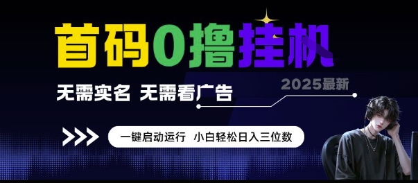 首码0撸挂G项目，无需实名无需看广告 一键启动运行，小白轻松日入三位数【揭秘】|淘骐网赚资源库