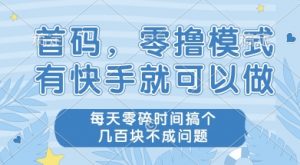 首码零撸项目,有快手就可以做,每天业务时间搞个几张不是问题【揭秘】|第一资源库