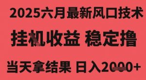 2025六月最新风口技术,无人挂G撸礼物,长期稳定 一个小时收益2k+,小白当天拿结果【揭秘】|淘骐网赚资源库