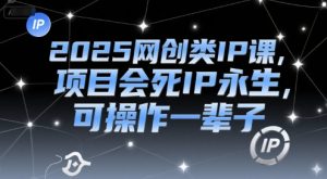 2025网创类IP课,项目会死IP永生,可操作一辈子|淘骐网赚资源库