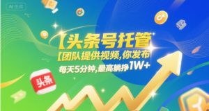 【头条号托管 】团队提供视频,你发布,每天5分钟,最高躺挣1W+【揭秘】|淘骐网赚资源库