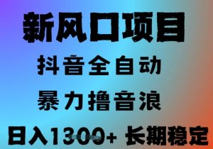 最新风口抖音无人直播撸音浪,全自动运行,小白可玩,长期稳定,日入1.3k,可批量收益翻倍【揭秘】|淘骐网赚资源库
