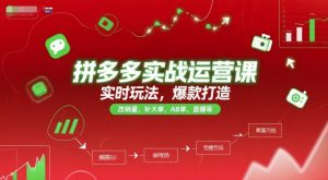 拼多多实战运营课,实时玩法,爆款打造,改销量,补大单,AB单,直播等(更新2025月)|淘骐网赚资源库