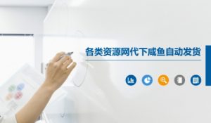 各类资源网代下咸鱼自动发货|淘骐网赚资源库