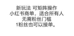 可矩阵操作,小红书商单新玩法,适合所有人,无需粉丝门槛,1粉丝也可以接单|淘骐网赚资源库
