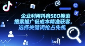 企业利用抖音SEO搜索推广低成本精准获客，选择关键词抢占先机|淘骐网赚资源库