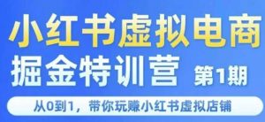 小红书虚拟电商掘金特训营第1期,从0到1,带你玩转小红书虚拟店铺|淘骐网赚资源库