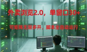 外卖浏览2.0,单窗口30+可矩阵无限多开,脚本全自动运行【揭秘】|淘骐网赚资源库