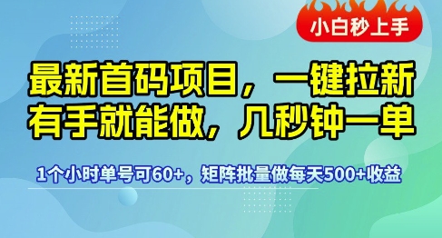 最新首码项目，一键拉新有手就能做，几秒钟一单，1个小时单号可60+，矩阵批量做每天5张【揭秘】|淘骐网赚资源库