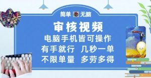 审核视频,电脑手机皆可操作,有手就行,几秒一单,不限单量,多劳多得【揭秘】|淘骐网赚资源库