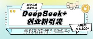 DeepSeek+创业粉精准引流,全新分享课4.0玩法,AI矩阵日引300+,多种变现方式,稳定月入1W|淘骐网赚资源库