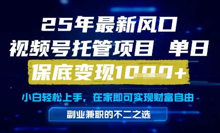 25年最新风口,视频号托管项目,单日保底变现1k+,手把手教学【揭秘】|淘骐网赚资源库