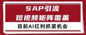 小红书某音sap赛道引流获客 自热矩阵日引200+【揭秘】|淘骐网赚资源库