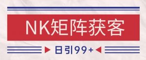 小红书某音NK赛道引流获客 自热矩阵日引200+【揭秘】|淘骐网赚资源库