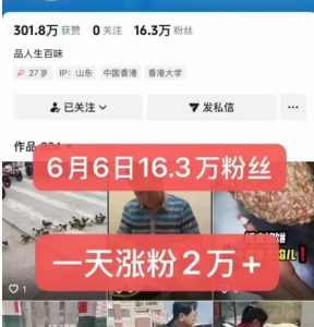 外面卖5000最新抖音搬运涨粉技术,新玩法,一分钟一条,一天涨粉2W,苹果安卓都可用|淘骐网赚资源库