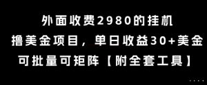 外面收费2980的挂G撸美金项目,单日收益30+美金,可批量可矩阵【揭秘】|淘骐网赚资源库