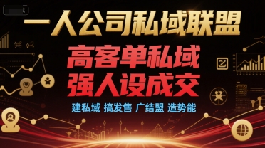 一人公司私域联盟,高客单私域,强人设成交,建私域 搞发售 广结盟 造势能|淘骐网赚资源库