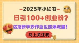 2025年小红书日引100+创业粉？这招新手抄作业也能爆流量！|淘骐网赚资源库