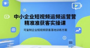 中小企业短视频运营精准获客实操课,可复制企业短视频获客落地训练方案|淘骐网赚资源库