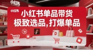 小红书单品带货,极致选品,打爆单品(更新)|淘骐网赚资源库