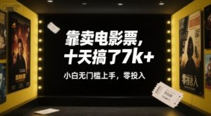 靠卖电影票,十天搞了7k+,小白无门槛上手,零投入【揭秘】|淘骐网赚资源库