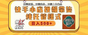 快手小店托管代运营,无需剪辑,无需选品,无需上传作品,全程无需操作,轻松月入5k+【揭秘】|淘骐网赚资源库
